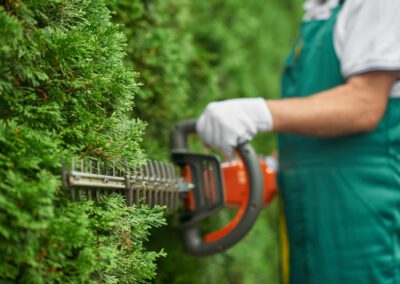 Trimming hedges